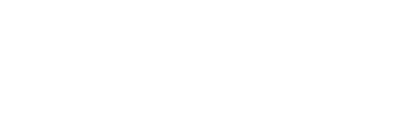 PROJECT ELIV